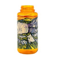 Epic Nalgene OG Artist Bottle Only in Access Fund 2022 32 Oz